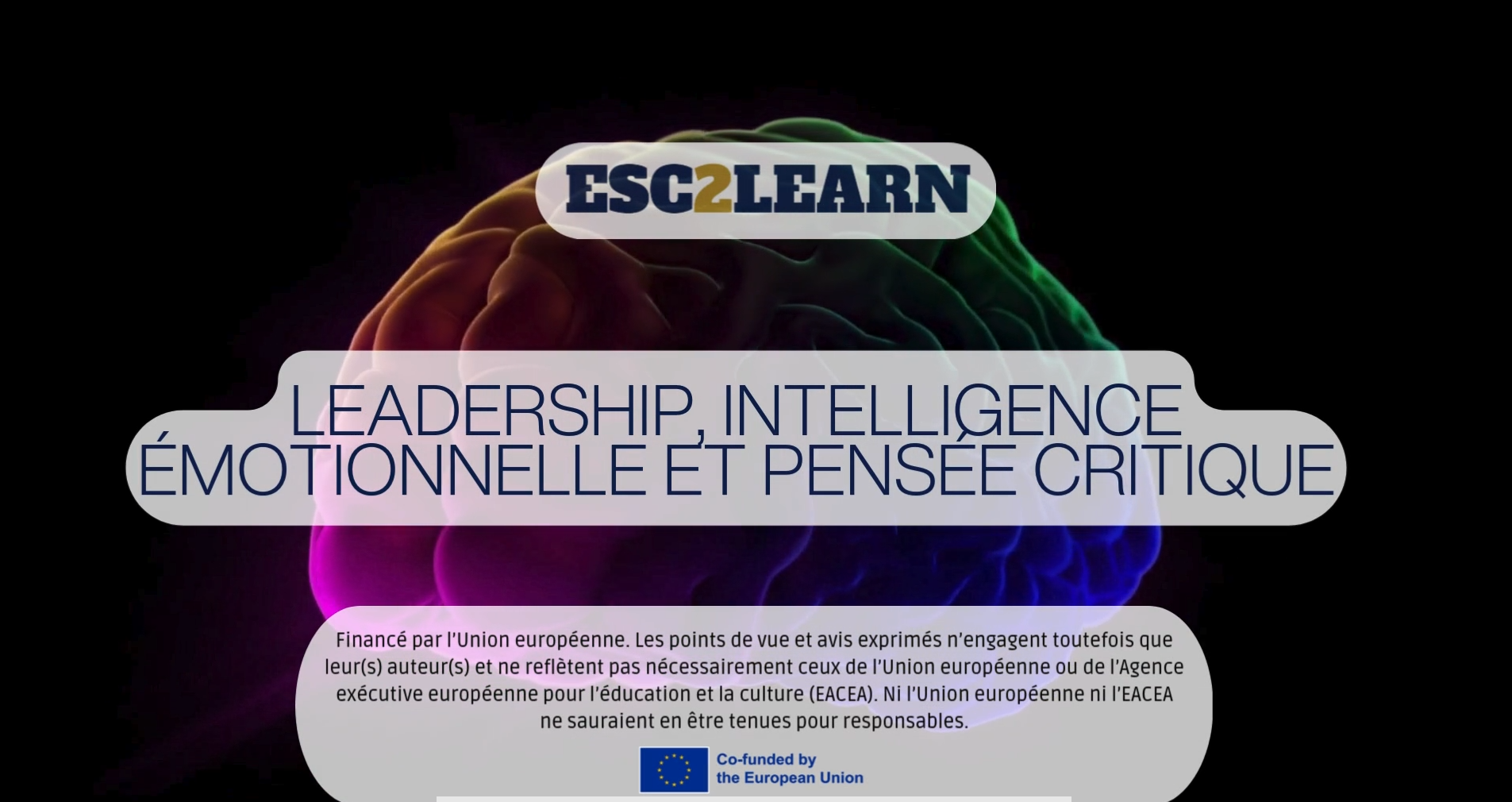 4. FR Leadership emotional intelligence and critical thinking